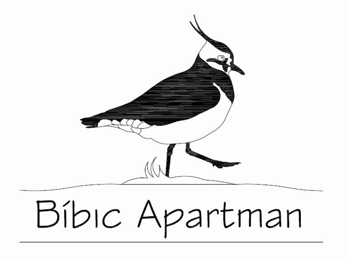 Bibic Apartman A Kapolnasnyek Εξωτερικό φωτογραφία