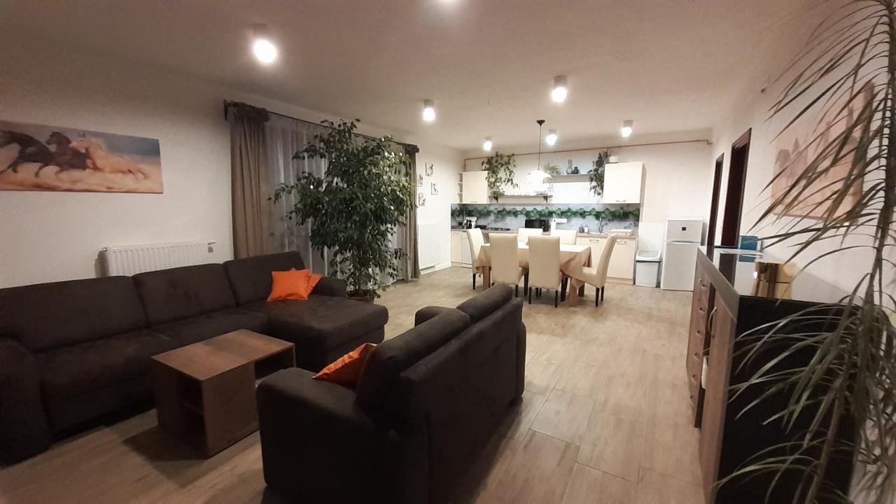 Bibic Apartman A Kapolnasnyek Εξωτερικό φωτογραφία