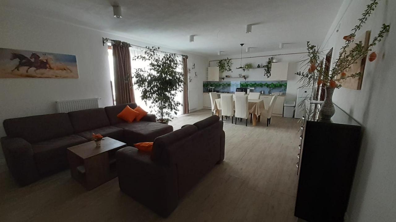 Bibic Apartman A Kapolnasnyek Εξωτερικό φωτογραφία